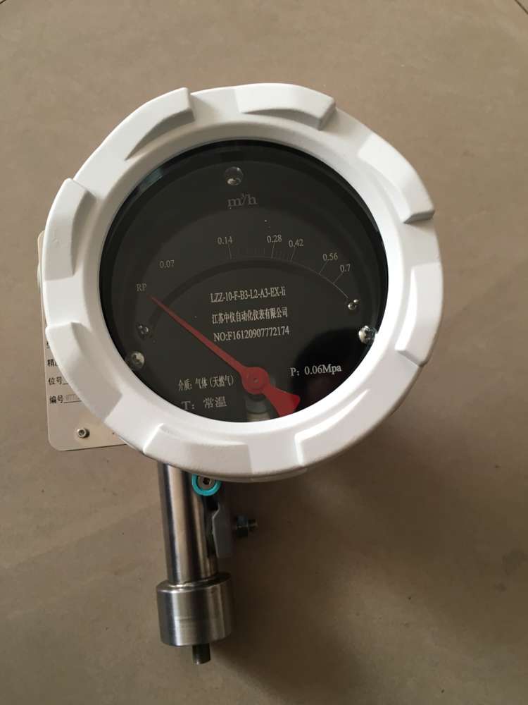  垂直(zhí)安裝金屬(shǔ)管浮子流(liu)量計流量(liang)不穩定怎(zen)麽辦