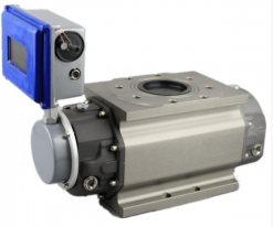 ZY-LLQ羅(luó)茨流量計